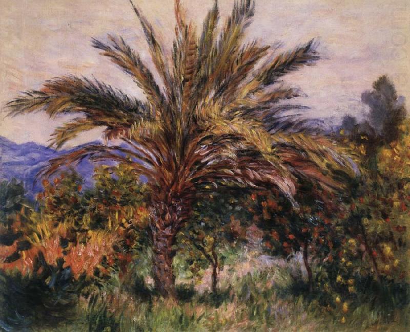 Claude Monet A Palm Tree at Bordighera china oil painting image